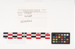Etikett zu Bronzegürtelblech (NHMW-PRAE-011745)